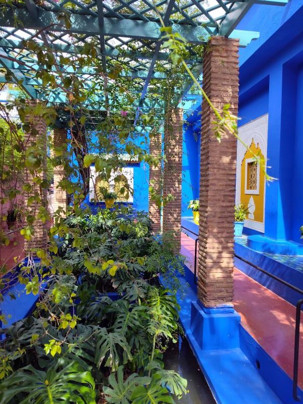 Why visit Jardins Majorelle