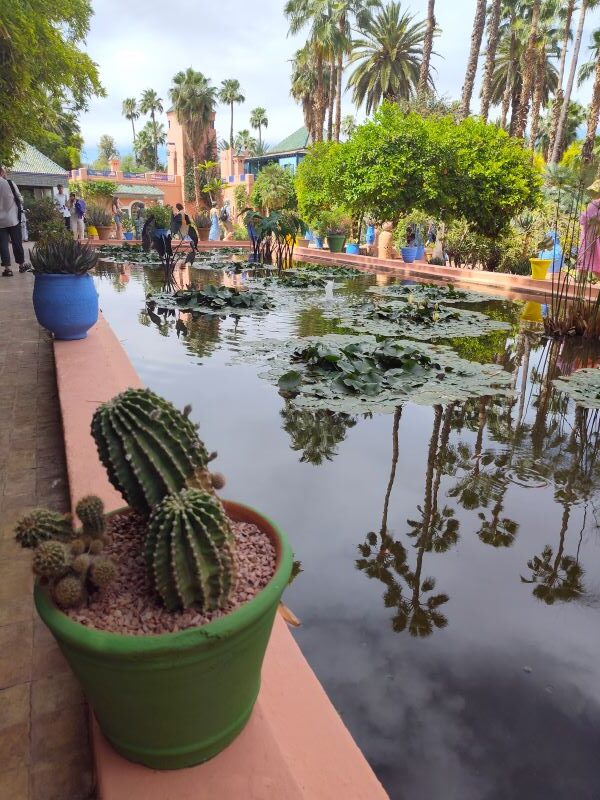 Experience the exotic Jardin de Majorelle