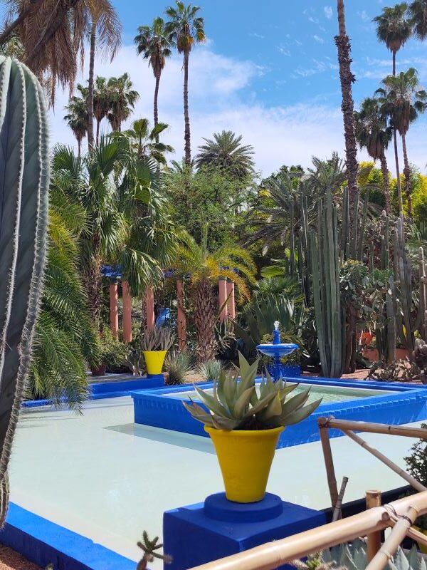 Conclusion to visiting Jardins Majorelle