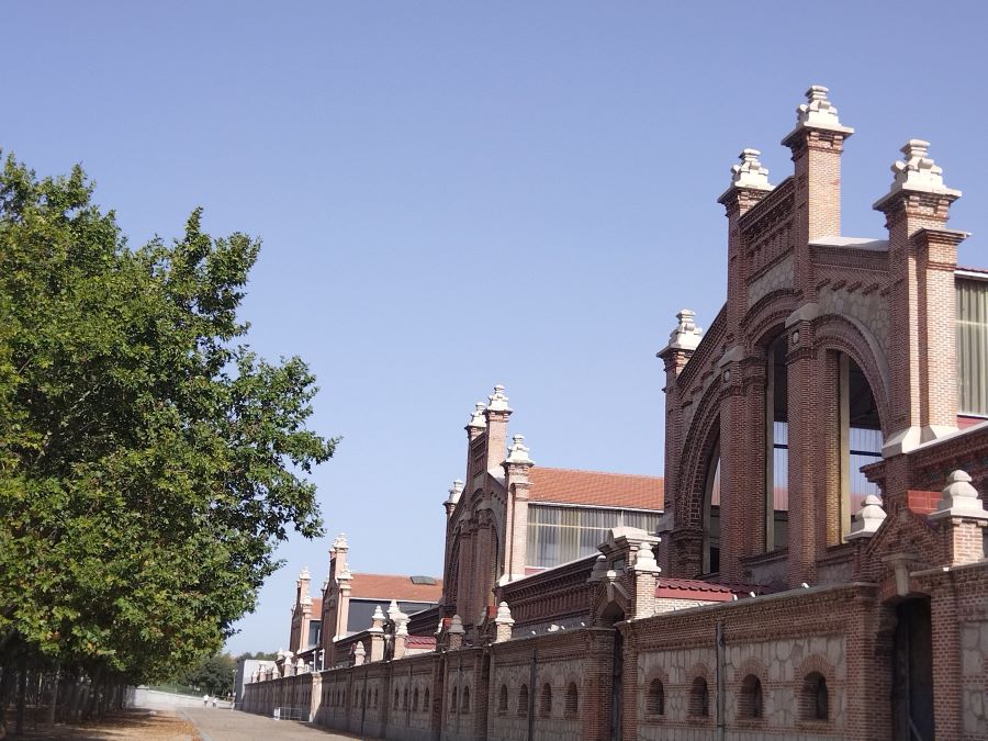 Experience Matadero Madrid