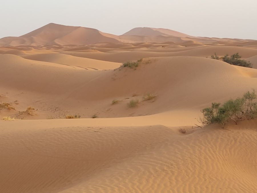 3 day tour Merzouga and Sahara Desert