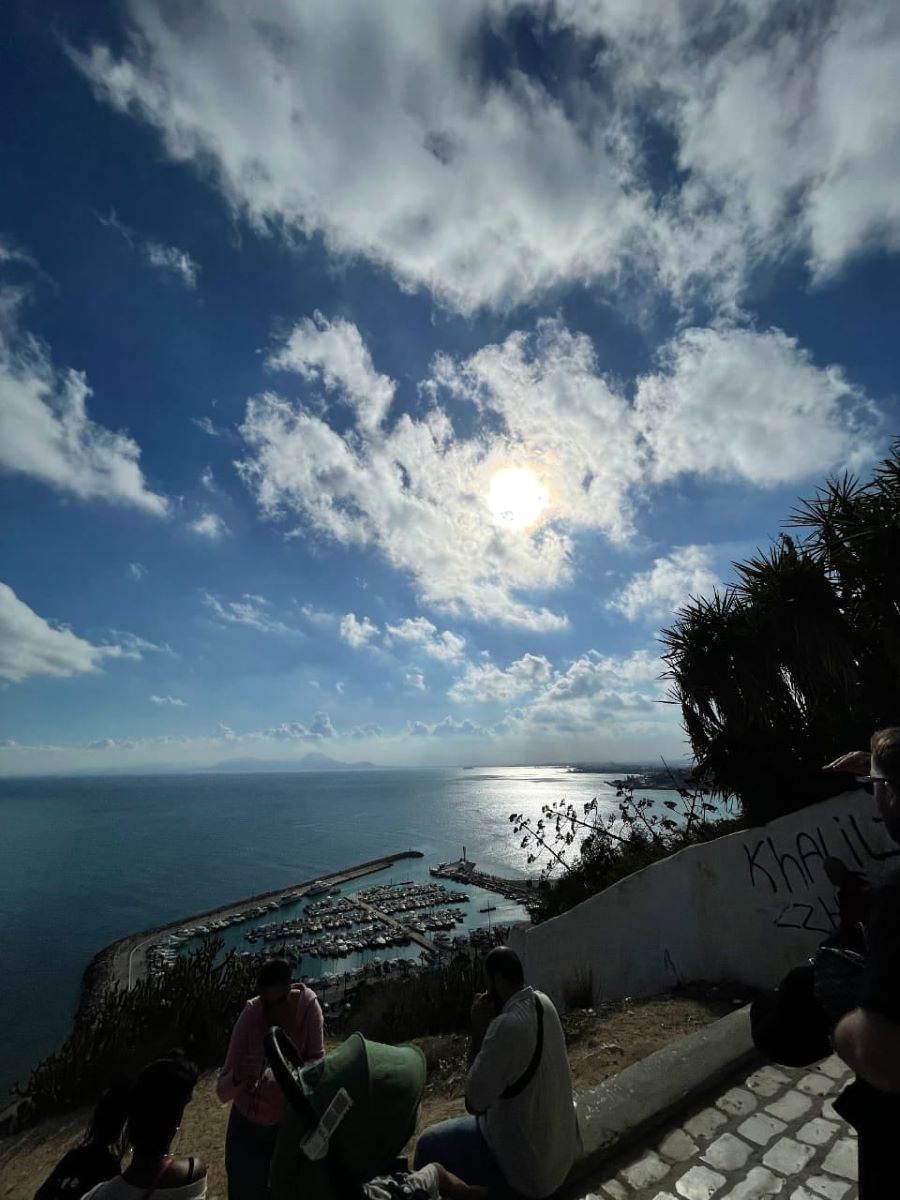 Carthage and Sidi Bou Said: History with a View