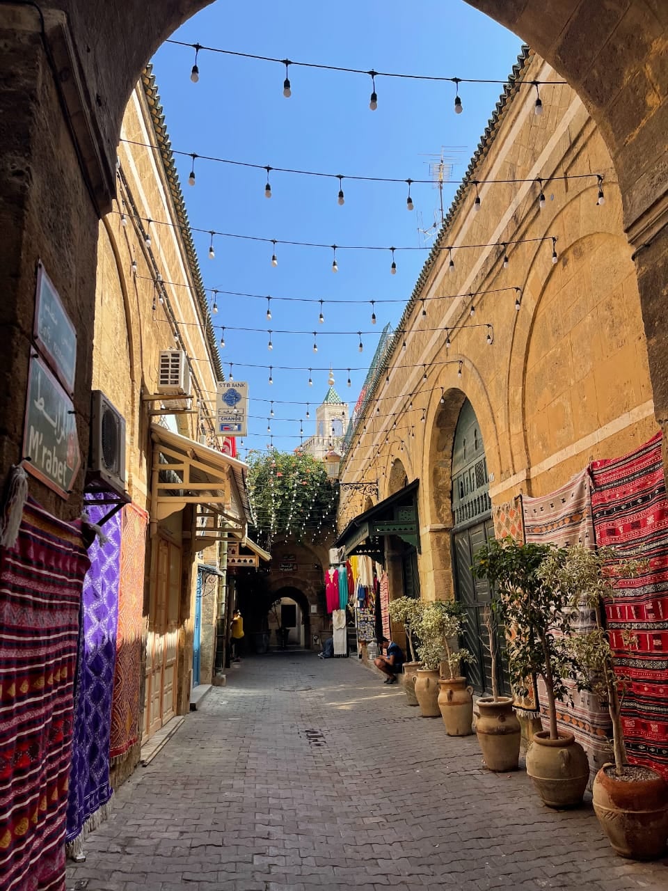 How to get to the capital city of Tunis