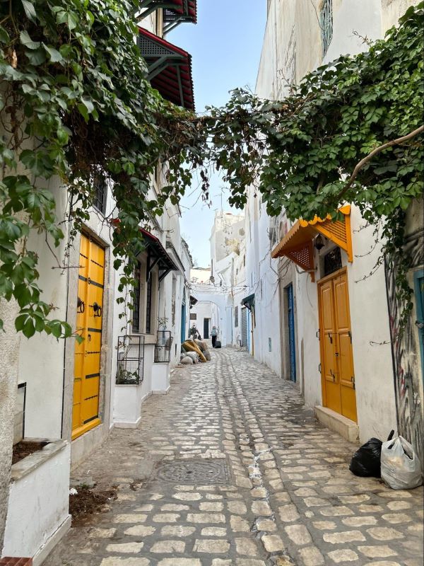 The Tunis Medina: A Living Labyrinth of Culture