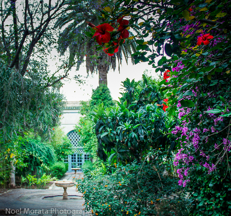 Visit the19th Century Bahia Palace