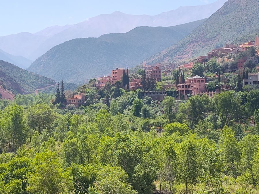 Outline of day trip activities to the Ourika Valley