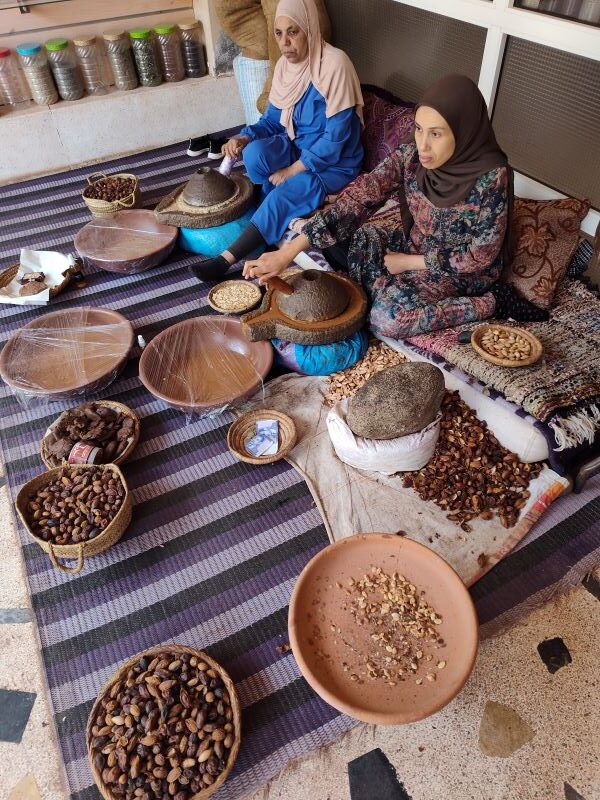 women’s argan oil cooperative,