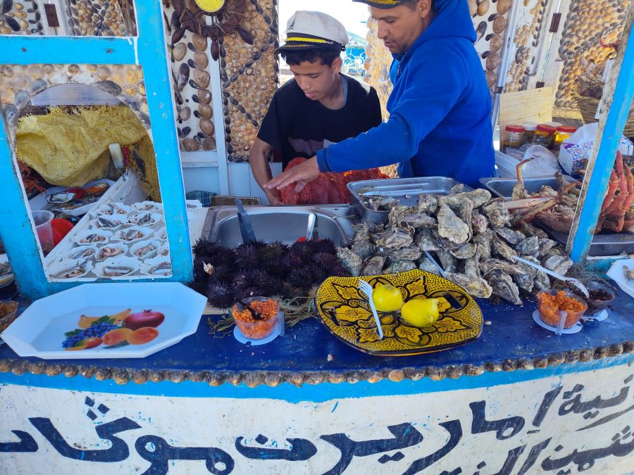 Further Reading - exploring Morocco