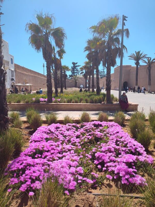 Conclusion to visiting Essaouira