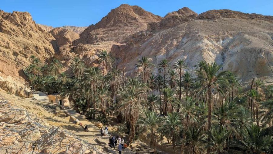 Consider these group tours around Tunisia