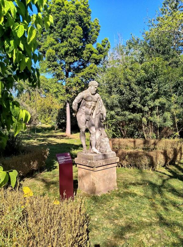 Tropical Botanical Garden in Belem