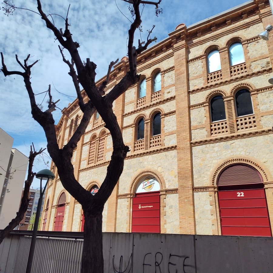 Explore Arenas de Barcelona Arena and amazing views