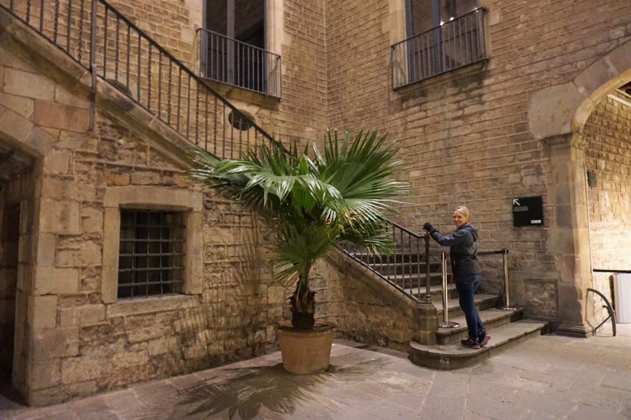 Visit the Picasso Museum for free