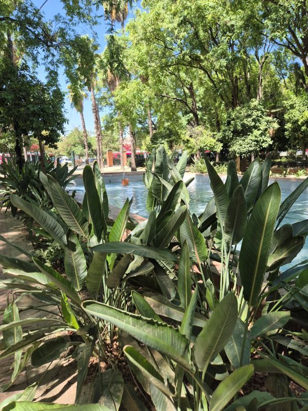 Parque de María Luisa