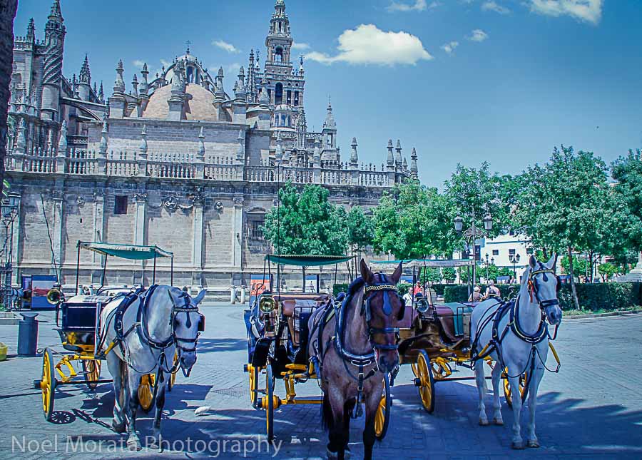 One day in Seville