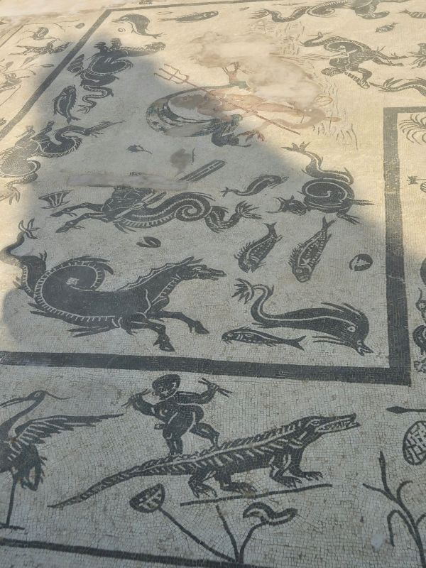 Visiting Italica in Spain, north of Seville