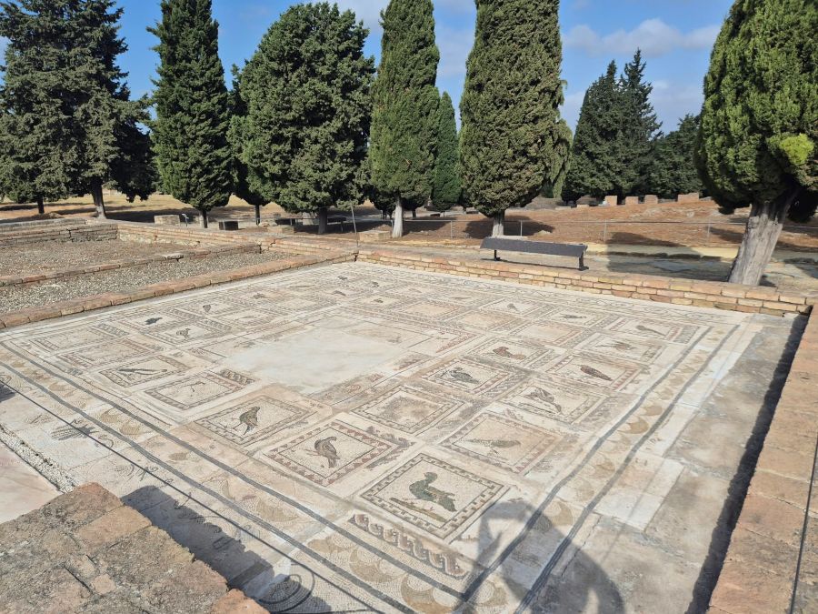 Italica in Spain
