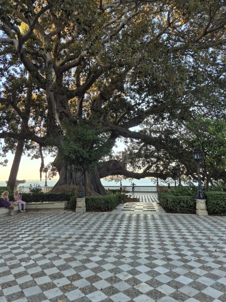 Late Afternoon – Parks and Historic Cádiz